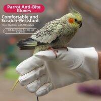 Terrain Kun | Bird Training Gloves Bite Prevention