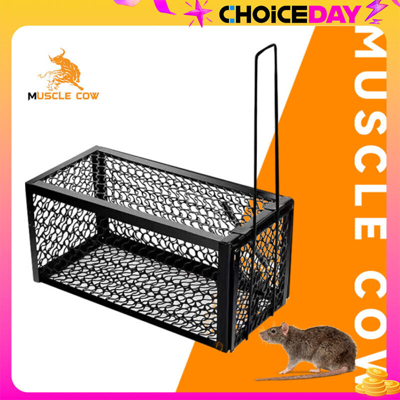 MUSCLE COW กรงดักหนู ที่ดักหนู กับดักหนู กรงดักหนูแบบมีโครง สปริงคู่ กรงดักหนูนา กรงดักหนูเล็ก กับดักหนูต่อเนื่อง กรง กรงดังหนู ราคา 155 บาท*ส่งฟรี