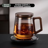 GIANXI | Tea Infuser Glass Cup