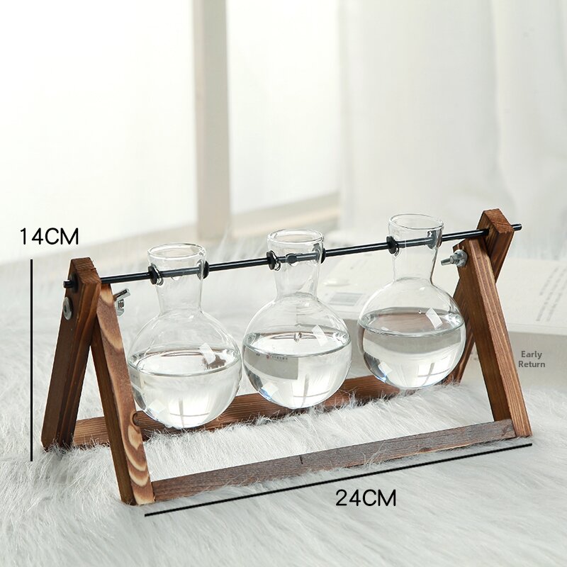 Simple Glass Transparent Vase for Water Culture and Greenery Display