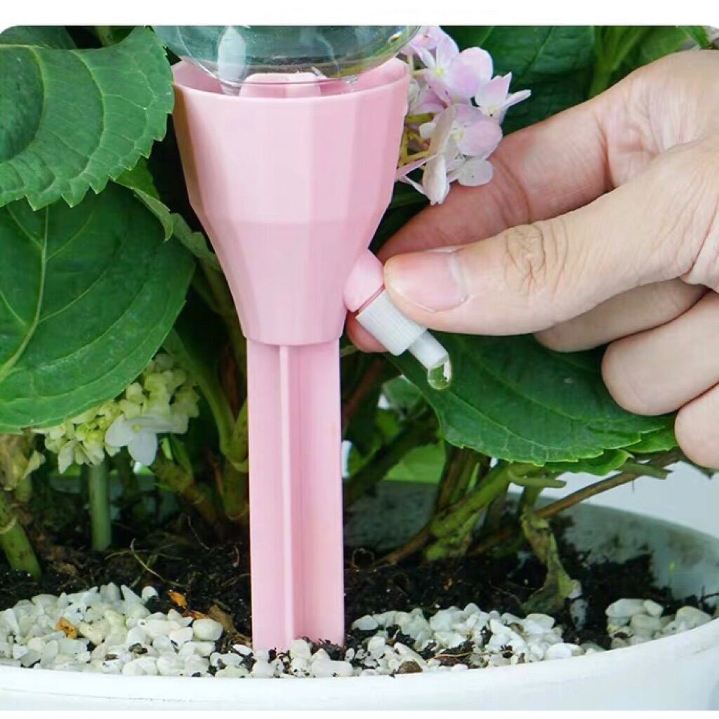 Irrigation Without Irritation Easy DIY Plant Watering Systems Plants