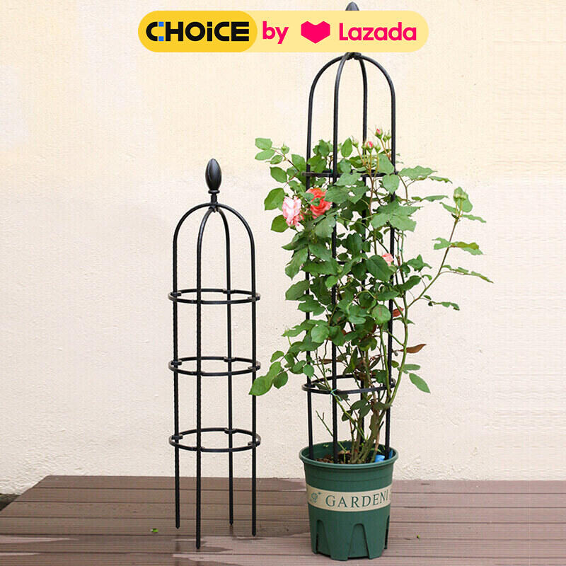 Khung trồng hoa hồng,giàn leo hoa hồng,ống thép bọc nhựa, nhiều size phù hợp hoa giấy, cây cảnh