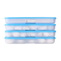 Tupperware | Food Grade Freezer Storage Box 1.3L