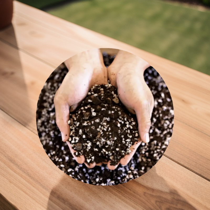 Soilless%20Potting%20Mix%20for%20Seeds%20Starter%20-%20Cocopeat%20,%20Vermi%20compost,%20Perlite%20Pack%20of%201,2,3,5Kg%20-%20Image%208