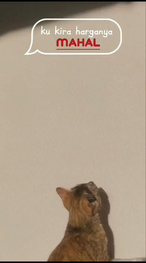 Kaos Anak Umur 1-10TH Gambar LOGO BABY THREE DOG/ BABY THREE VIRAL/ baju atasan anak/ kaos oblong anak cowo cewe/ pakaian anak laki-laki perempuan/ unisex