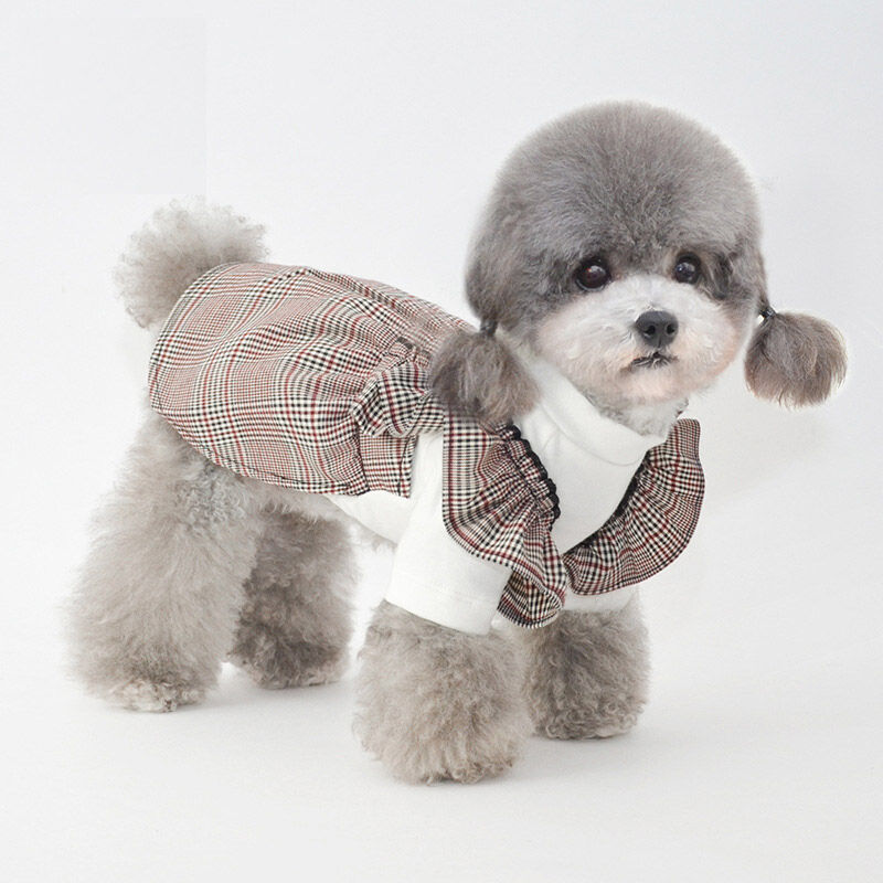 bichon frise clothes