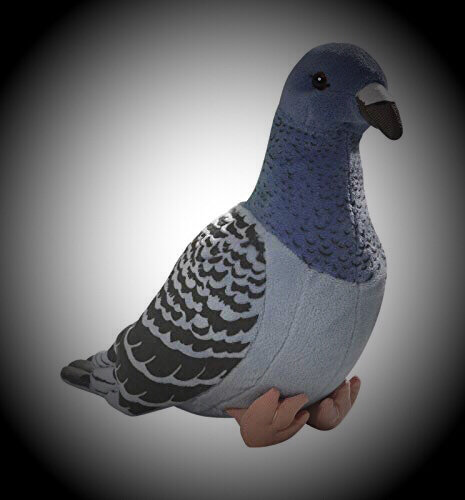 toy modena pigeons