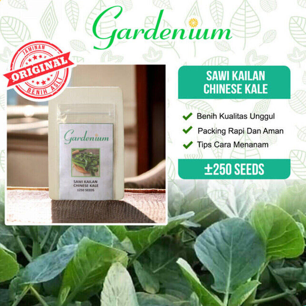 Gardenium Benih Sawi Kailan Hijau Chinese Kale Sayuran Unggul Bibit