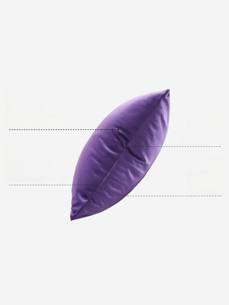 Nordic Simple Purple Velvet Women's Pillow Cushion Bedroom Bedside Cushion Sofa Backrest Lumbar Cushion Cover without Core. 