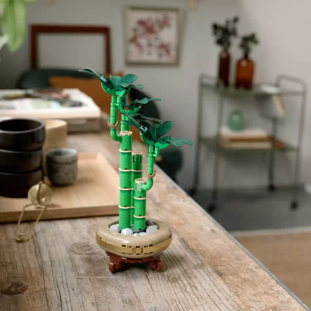 LEGO Botanicals 10344 Lucky Bamboo (325 Pieces) | Lazada Singapore