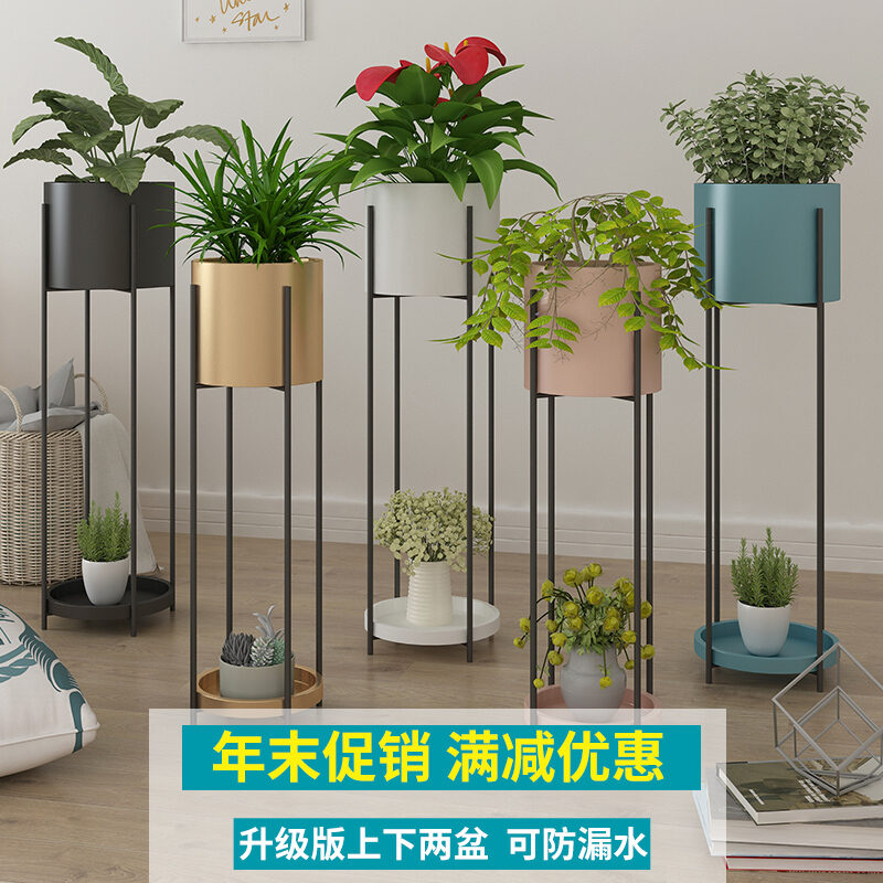 floor standing plants for living room