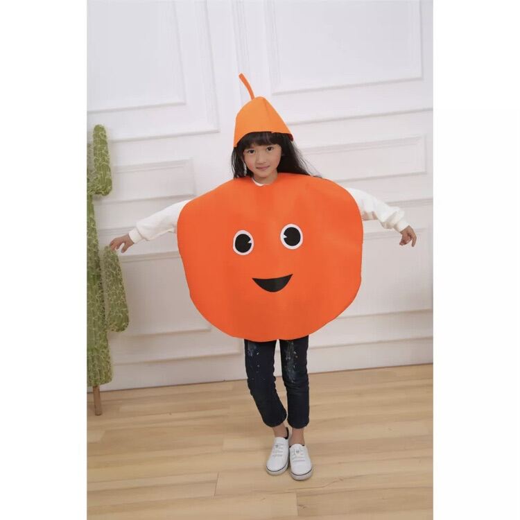 Fruit Costume - Orange Costume - FOOD RELATED COSTUMES & ACCESSORIES
