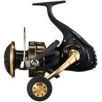 Daiwa | Saltwater Fishing Spinning Reel