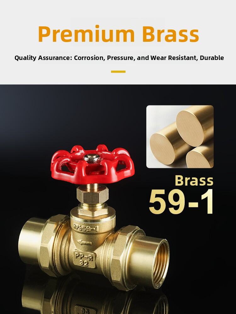 DN20 Brass Gate Valve BSPP G3/4 Rotary Sluice Valve - View #5
