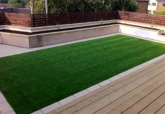 Carpet grass real live Japanese grass plant (10-100pcs bundle deal)  0.3meter x 1.5meter real live plant including installation. 