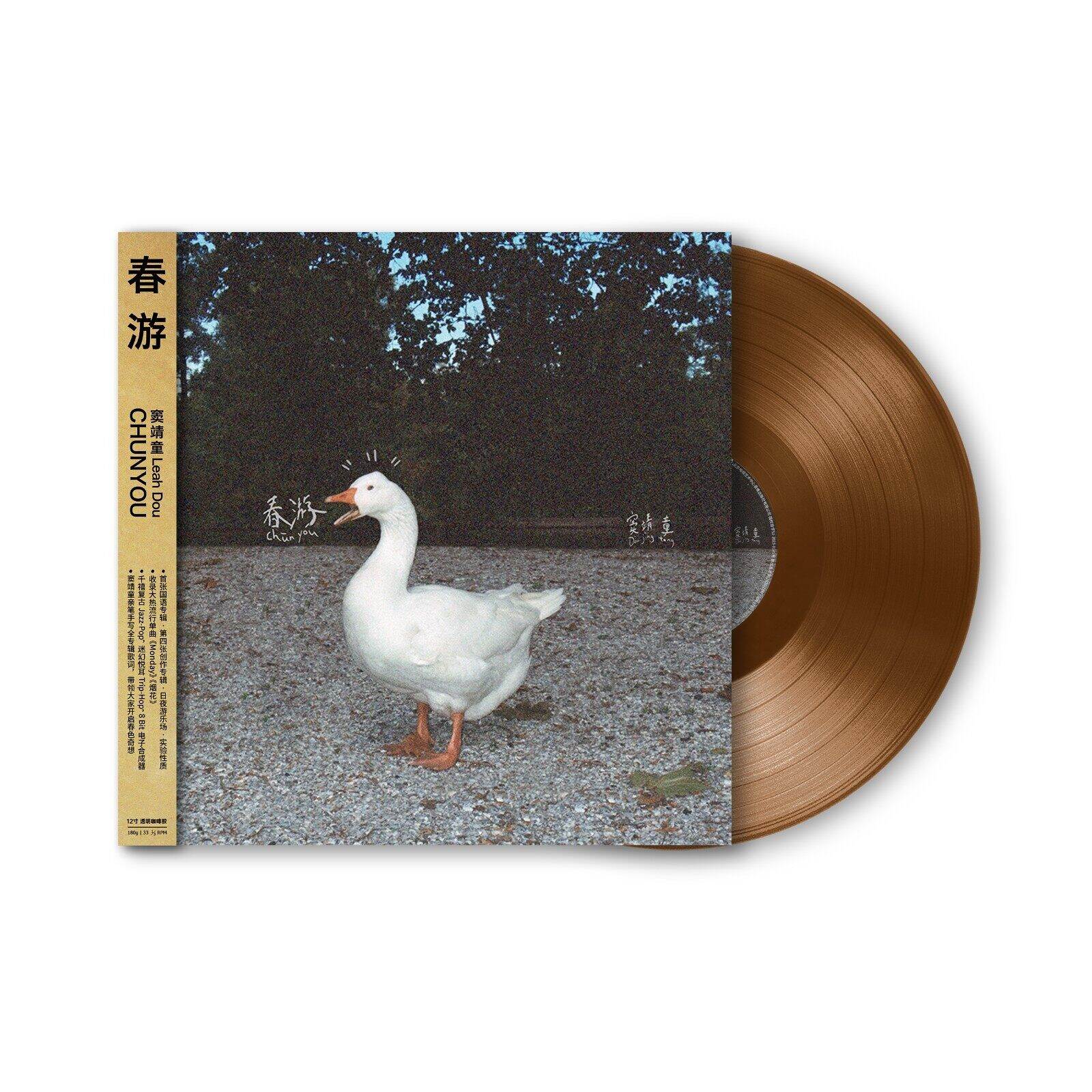 Spring Tour 12 Inch Vinyl Record