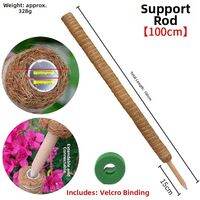 PAMPAS | Aesthetic Coconut Fiber Climbing Pole for Green Plants