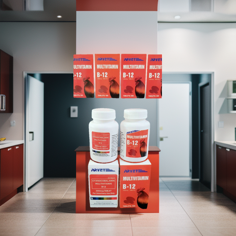 B12 - MUTIVITAMIN. Thuốc Nuôi Bổ Máu Gà